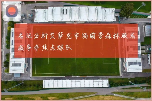 名记分析艾萨克市场前景森林狼或成争夺焦点球队
