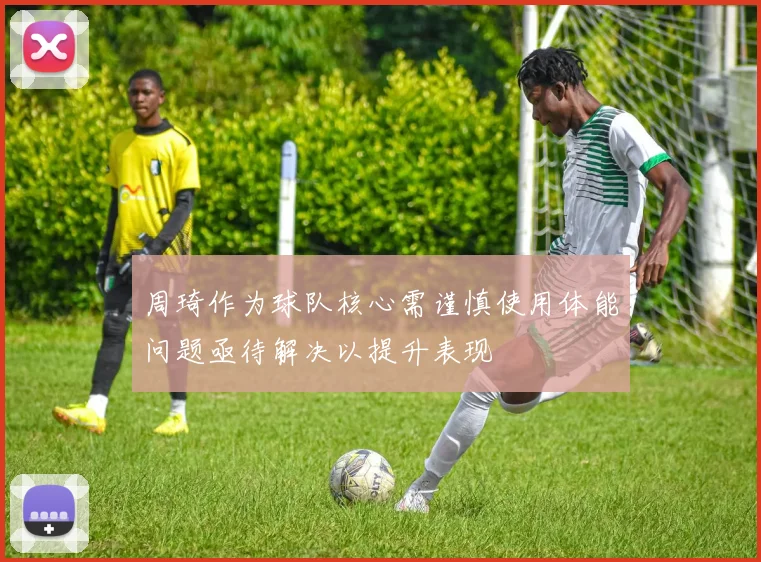 周琦作为球队核心需谨慎使用体能问题亟待解决以提升表现